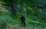 Dragonageinquisition_2015-01-01_19-12-49-27